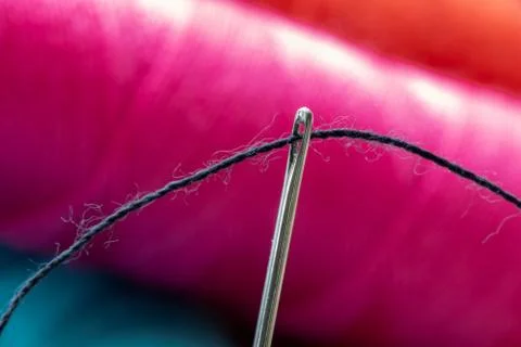 A close up portrait of some sewing thread put through the hole of a needle in Stock Photos