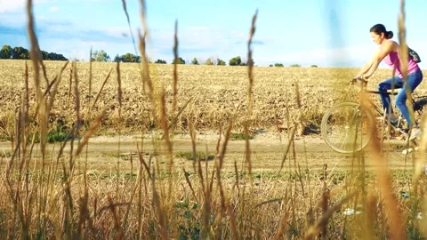 Close-up portrait, view from behind the grass. Video stock 204016694