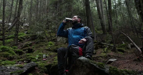 Close-up portrait of a young bearded man sitting in nature Stock Footage 244138576