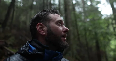 Close-up portrait of a young bearded man sitting in nature Stock Footage 244139436