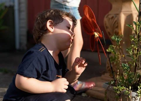 Close up portrait of a young boy exploring the backyard Stock Photos