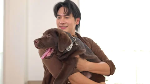 Close-up portrait of a young man holding his Labrador puppy Stock Footage 338429061