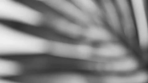 Close up on poster mockups with plant shadow Stock Footage 245178933