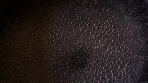 Close up of a pot full of boiling water Video stock 119446253