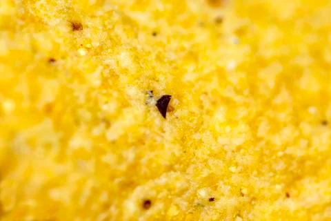 Close up of a potato chip Stock Photos
