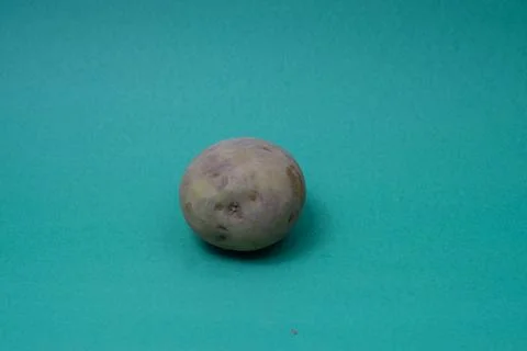 Close-up of Potato on green backgraound Stock Photos