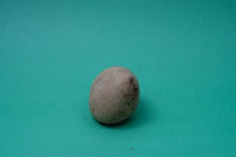 Close-up of Potato on green backgraound Stock Photos