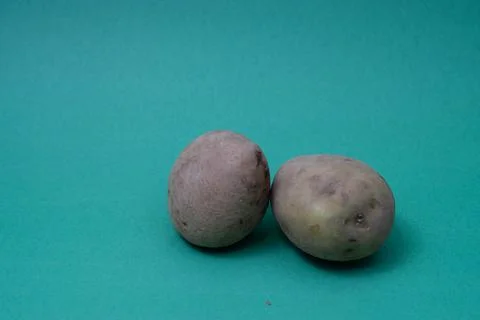 Close-up of Potato on green backgraound Stock Photos