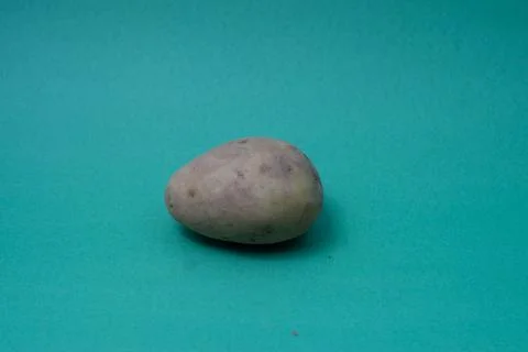 Close-up of Potato on green backgraound Stock Photos