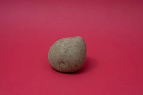 Close-up of Potato on red backgraound Stock Photos
