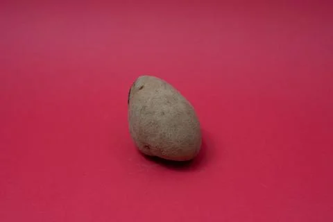 Close-up of Potato on red backgraound Stock Photos