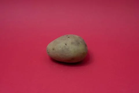Close-up of Potato on red backgraound Stock Photos
