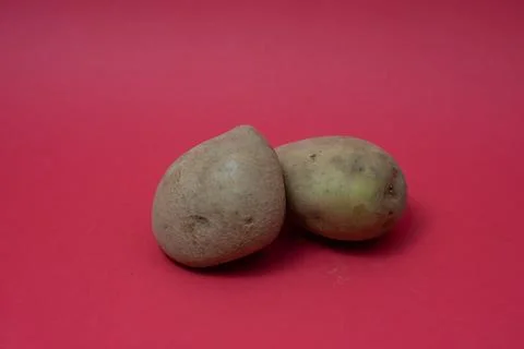 Close-up of Potato on red backgraound Stock Photos