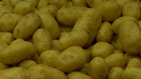 Close up of potatoes Stock-Footage 73889084