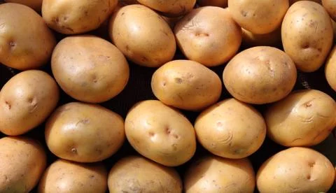Close-up of Potatoes Stock Photos