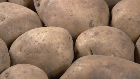Close up of potatoes. Raw vegetable peeled. Stock Footage 143783053