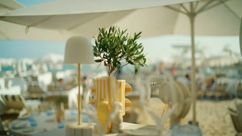 Close-up of a potted olive tree centerpiece on a restaurant table at a beach Stock Footage 344792600