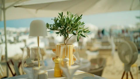 Close-up of a potted olive tree centerpiece on a restaurant table at a beach Stock Footage 344792867