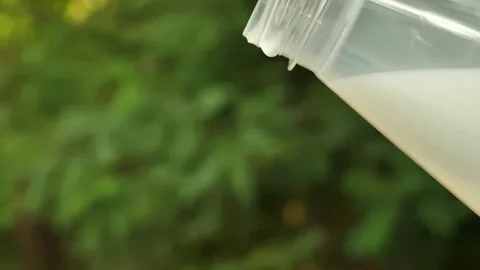 Close-up of pouring liquid milk in slow motion against the backdrop of nature Stock Footage 245182839