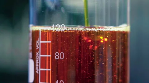 Close up pouring orange emulsion to beaker bokeh background slow motion 100fp Video stock 156064414