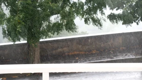 Close up of pouring rain with tree in the background Stock Footage 94939548