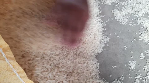 Close up of pouring rice in to sack. Stock Footage 140952827