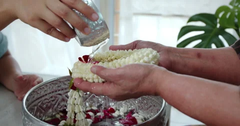 Close up, pouring water on hands of elder senior in Songkran festival Stock Footage 287563738