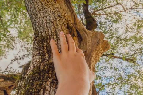 A close-up POV shot of an unrecognizable young Caucasian womans hand touching Stock Photos