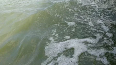 Close-up POV tracking shot looking down at murky green sea water Stock Footage 346764804