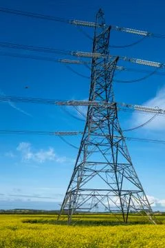 Close up of a power pylon in the middle of a field of bright yellow rapeseed  Stock Photos