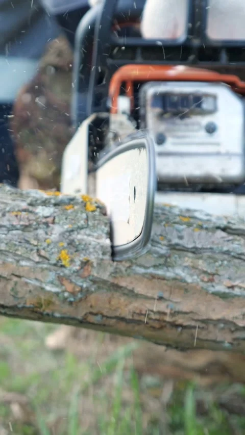 Close up of a powerful chainsaw blade cutting through a wooden log, with sawdust Stock Footage 341283277