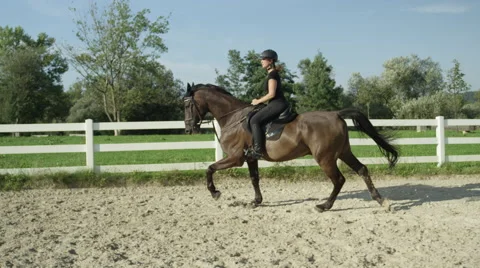 CLOSE UP: Powerful dark brown stallion cantering in outdoors sandy paddock Stock Footage 66728838