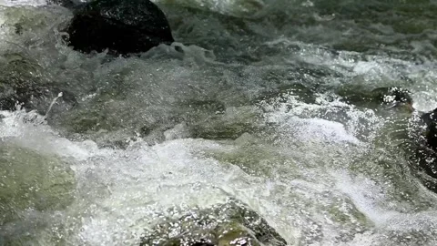 Close-up of powerful rushing river water flowing rapidly over mossy stones. Stock Footage 338378085