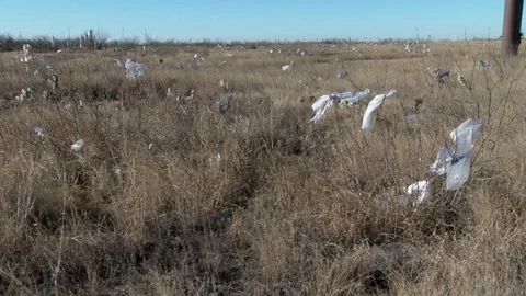 Close of prairie grass as camera pulls back to see plastic bags everywhere, 4K. Video stock 85142460