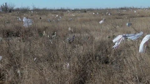 Close of prairie, then zoom back to see litter of plastic bags, 4K. Stock Footage 85143449