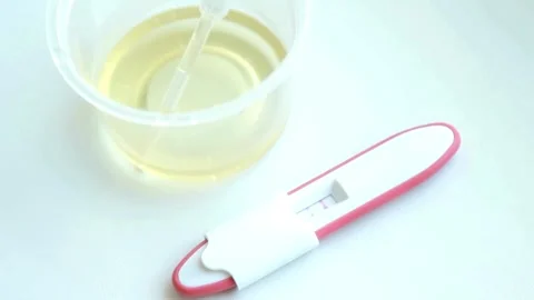 Close-up of pregnancy test kit showing double lines Positive pregnancy test Stock Footage 265933826