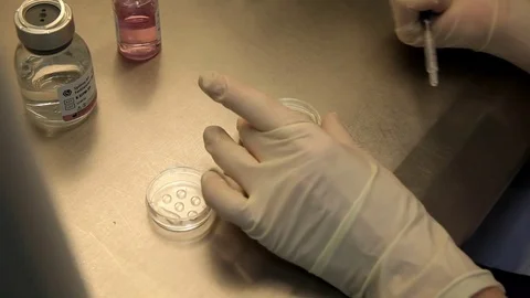 Close-up, preparation of environment for the egg. Stock Footage 76364852