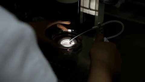 Close-up, preparation of environment for the egg. Stock Footage 76364990