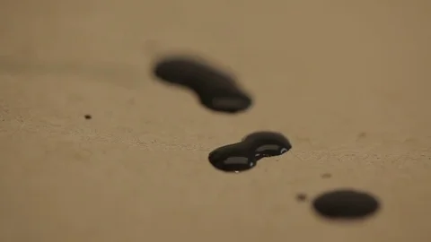 Close up preparing for painting with brush Stock Footage 71755549