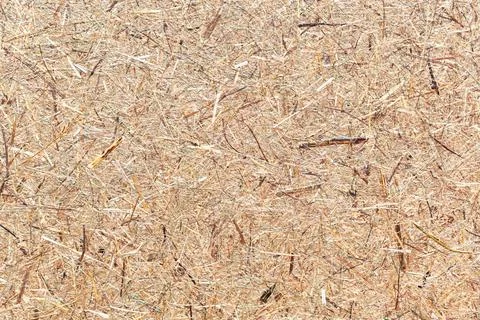 Close up of a pressed hay texture background Stock Photos