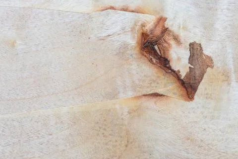 Close up of pressed Sawdust Panel Stock Photos