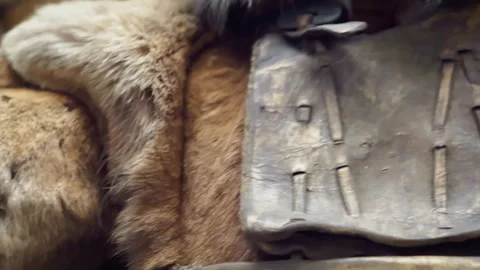 Close-up of primitive man's clothes. Stock Footage 267728281