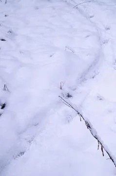 Close-up of pristine snow-covered ground with subtle indentations and scatt.. Stock Photos