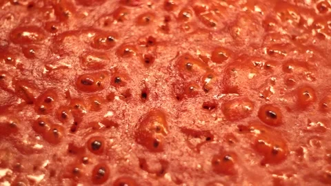 Close up process of boiling vegetable red tomato sauce Stock Footage 150613624