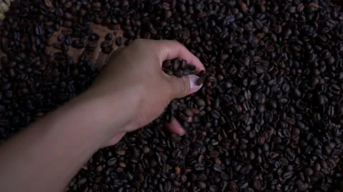 Close up process coffee beans Stock Footage 137391626