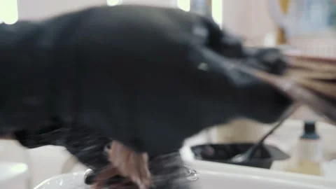 Close-up of the process of highlighting and washing a girl's long brown hair for Stock-Footage 155739882