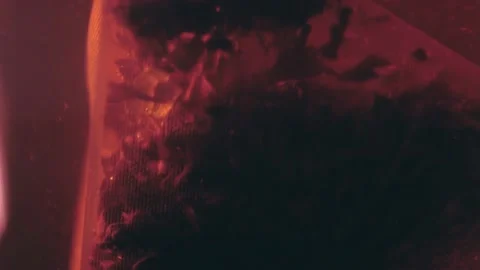 Close-up of the process of making, brewing fresh natural black tea. Video stock 184475937