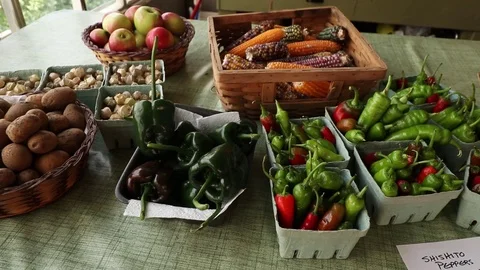 CLOSE UP PRODUCE DISPLAY 스톡 동영상 102742700