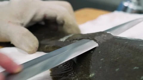 Close-up of Professional Chef Hands in White Gloves Filleting Fresh Flatfish wit Stock Footage 333600484