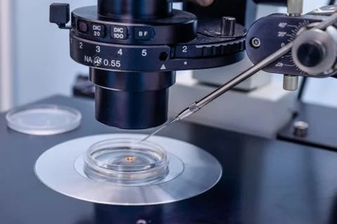 Close up Professional In Vitro Fertilisation Microscope in laboratory of Repr Foto stock